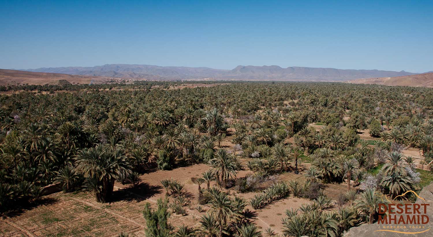 4 Days roundtrip to Zagora desert