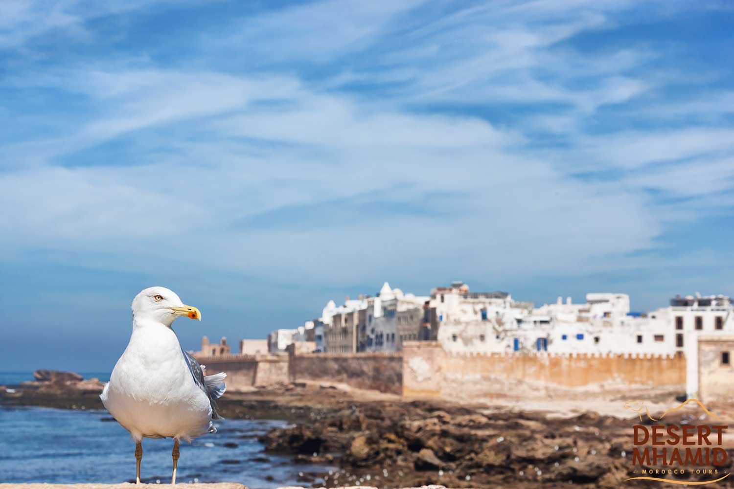 Essaouira excursion